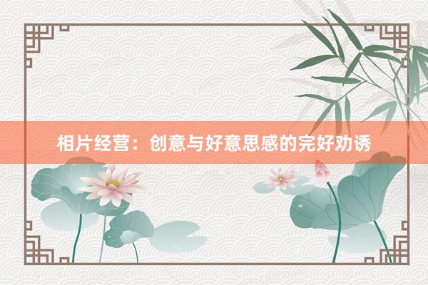 相片经营:创意与好意思感的完好劝诱
